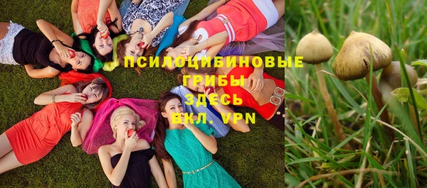 шишки Ижевск
