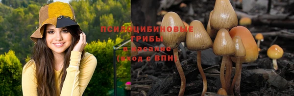 шишки Лабытнанги