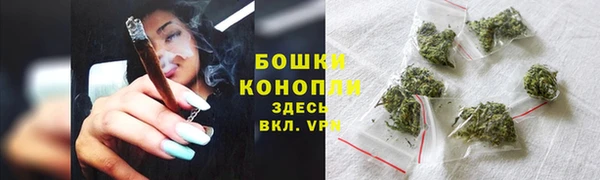 СК Няндома