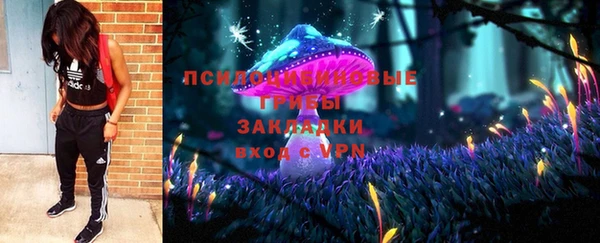 шишки Лабытнанги