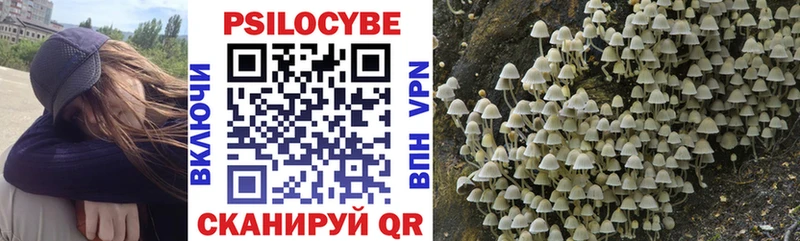 Галлюциногенные грибы GOLDEN TEACHER  где найти   OMG ONION  Остров 